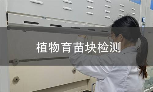 植物育苗块检测